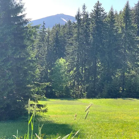 Апартаменты Barborka, 8 *